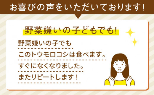 果物 みたいに 極甘 ！ 早朝 収穫 とうもろこし Lサイズ (300g)×20本 糸島市 / 有限会社ウラタ農園 [ALI002]