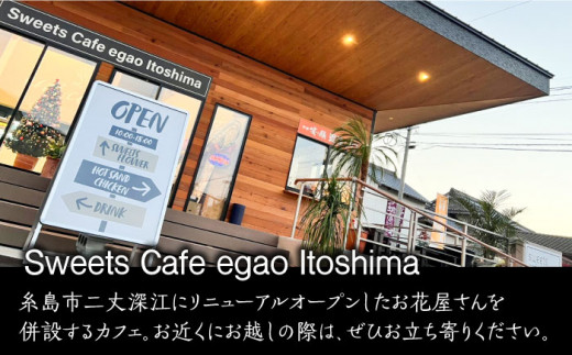 スコーン 食べ比べ 10個 糸島市 / Sweets Cafe egao Itoshima 焼菓子 スイーツ [AAO001]