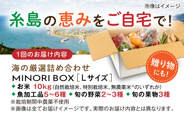【全4回定期便 令和7年産新米】糸島産 魚 米 野菜 果物 厳選詰め合わせ MINORI BOX Lサイズ【季節ごとに年4回お届け】　糸島市 / emma.Inc / 米 魚 野菜 果物 詰め合わせ [AOP006] 米 こめ 魚 さかな 野菜 やさい 果物 くだもの 糸島 詰め合わせ MINOR