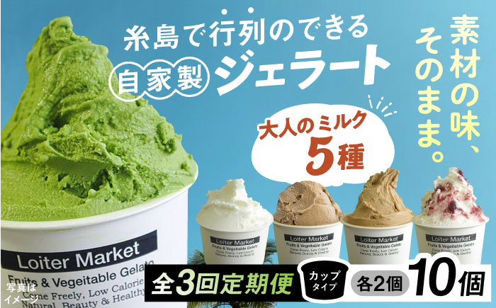 【全3回定期便】糸島で行列のできる アイスクリーム 屋 ジェラート カップ 10個 セット！ 大人の味 5種類 × 各2個 ( ミルク , 抹茶 , ほうじ茶 , カフェオレ , ブルーベリーヨーグルト ) 糸島市 / LoiterMarket ロイターマーケット アイスクリーム [AGD020]