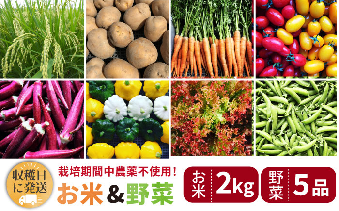 【☆畑直送☆栽培期間中農薬不使用！】お 米 2kg & 野菜 5品 の セット 糸島市 / オーガニックナガミツファーム 	[AGE035]
