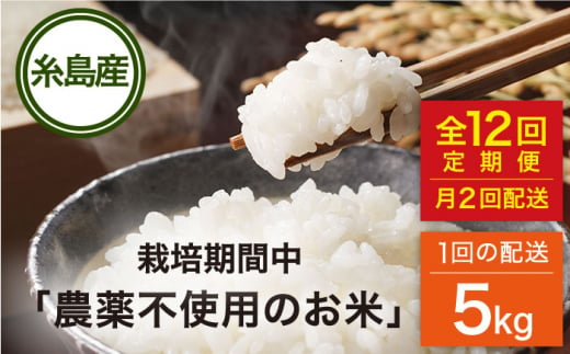 【全12回（月2回）定期便】栽培期間中 農薬不使用のお米 ヒノヒカリ 5kg 糸島市 / シーブ [AHC058]