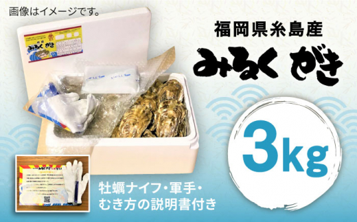 みるくがき 3kg ◆生食可 から付き 活牡蠣 糸島市 / 豊久丸牡蠣 生カキ 生食用 殻付き カキ 生牡蛎 生食可 [AEJ005]