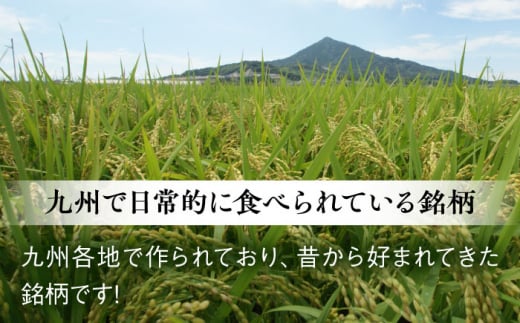 【全3回定期便】【こだわり精米】糸島産 ひのひかり 5kg 糸島市 / RCF 米 お米マイスター [AVM006]