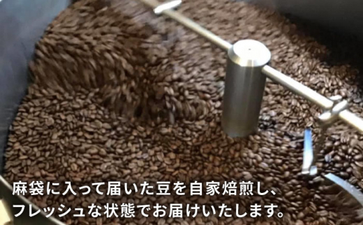 【全6回定期便】コーヒー ドリップ バッグ 40個 セット ( 8種類 × 5個 ) 糸島市 / COFFEE UNIDOS [AQF019]