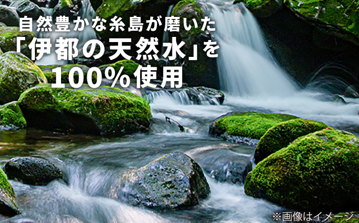 強炭酸水 プレーン 500ml × 24本  糸島市 / スターナイン 炭酸水 国産 [ARM002] 炭酸水 500ml 24本 プレーン 国産 炭酸 強炭酸 ペットボトル 常温