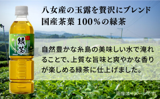 【全3回定期便】八女 玉露入り 緑茶 500ml × 24本  糸島市 / スターナイン お茶 ペットボトル [ARM015]