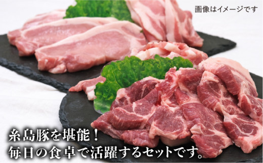 JA糸島  糸島豚 焼肉 トンカツ 生姜焼き セット  糸島市 / JA糸島産直市場 伊都菜彩 [AED003]