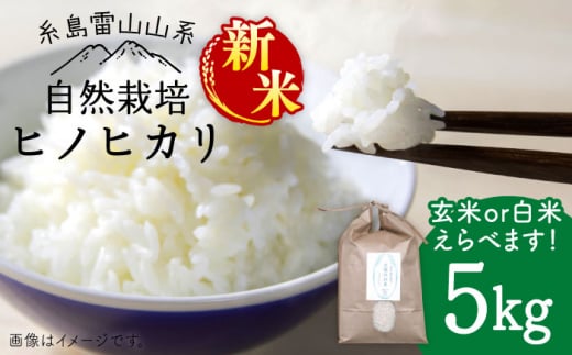 【新米予約受付中】＼令和6年産／自然栽培 ヒノヒカリ 5kg 《糸島》【大石ファーム】 [ATE001]