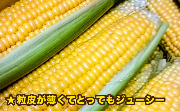 【先行予約】糸島 トウモロコシ 『もきっこ』 黄 （ 10本前後 ） 【2026年6月下旬以降順次発送】《糸島》 【内田農業】 [AZH001] とうもろこし 野菜 コーン スイートコーン BBQ バーベキュー