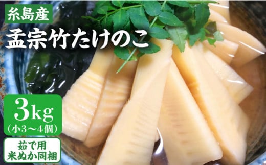 【2025年3月下旬以降順次発送】産地直送「孟宗竹」 3kg 糸島市 / シーブ たけのこ 筍 [AHC025]