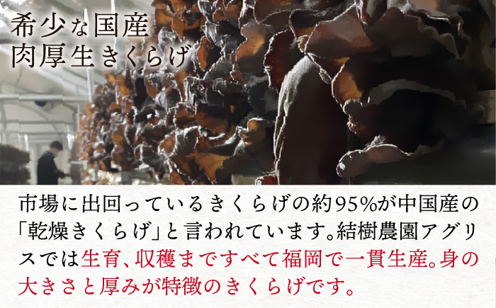 結樹農園 アグリス めんたい きくらげ 300g×5P 《糸島》【結樹農園アグリス】きくらげ/国産/明太/明太子 [AAJ003]
