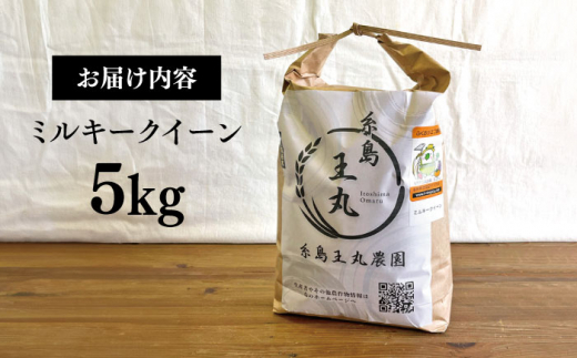 糸島産 ミルキークイーン 5kg糸島市／糸島王丸農園（ 谷口汰一 ）【いとしまごころ】 米 玄米 [AAZ019]