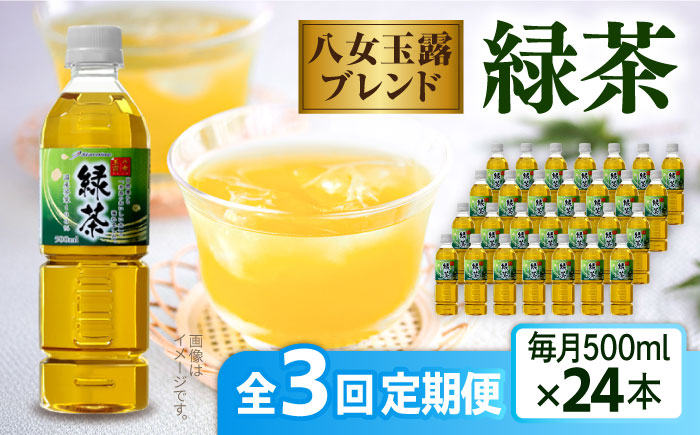 【全3回定期便】八女 玉露入り 緑茶 500ml × 24本  糸島市 / スターナイン お茶 ペットボトル [ARM015]