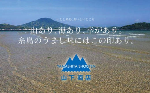 干しわかめ 2袋 《糸島》【山下商店】【いとしまごころ】糸島 乾物 海藻 いとしま 乾燥  [ANA010]