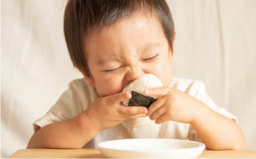 【全3回定期便】一番摘み 有明海産 焼き のり 100枚 ( 10枚 × 10袋 ）博多 海苔 福岡 《糸島》【博多海苔】 [ACG003]