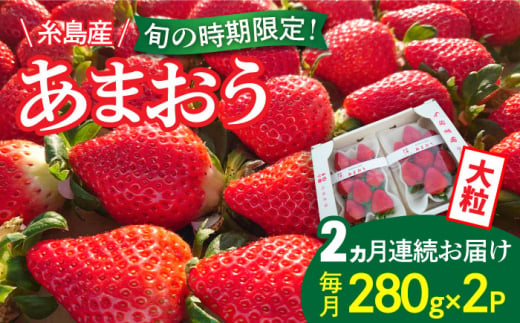 【全2回定期便】【農家直送！】糸島産あまおう 280g×2パック (DXおよびGサイズ) 【先行予約受付中・2024年12月より順次発送】 糸島市 / 後藤農園 いちご 福岡 [AML005]