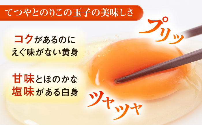 《月2回×20個 6ヶ月コース》 卵 てつやとのりこの玉子 全12回定期便 糸島市 / 板垣ファーム [AWD013]