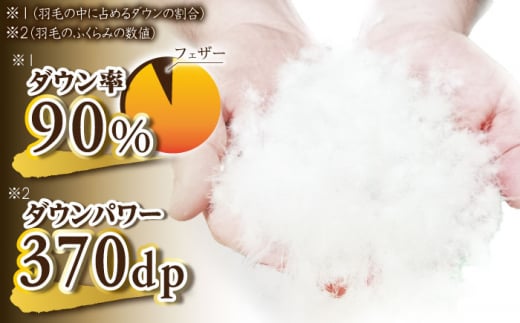 ＼この冬届く！／【訳あり】【 糸島 羽毛 ふとん 】羽毛 布団 柄おまかせ ダウン90％【 シングル 】 糸島市 / 株式会社三樹 [AYM006]