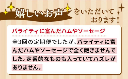 【全3回定期便】本場ドイツで連続金賞受賞！本格 ウインナーの バラエティ 定期便 ( ウインナー / ハム / 生ウインナー / 生ハム ) 糸島 / 糸島手造りハム バラエティーセット [AAC009] ランキング 上位 人気 おすすめ