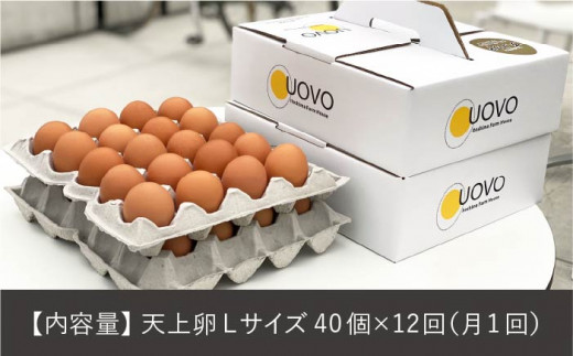 【全12回定期便】 こだわりの卵 「 天上卵 」 40個 セット 糸島市 / 株式会社おおはまファーム [AKH008]