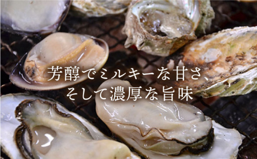 糸島 カキ 3,000円分 飲食 チケット《糸島》【飲食チケット】冬の風物詩 牡蠣小屋[AKD002]