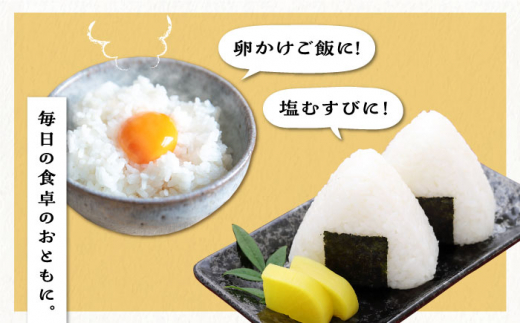 【月2回お届け】【全12回定期便】糸島産 夢つくし 10kg 6ヶ月コース 糸島市 / 三島 [AIM031]