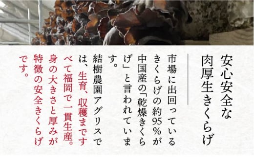 【全12回定期便】結樹農園 アグリス めんたい きくらげ 300g 《糸島》【結樹農園アグリス】きくらげ/国産/明太/明太子 [AAJ007]