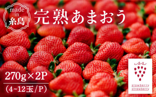 【予約：2025年1月上旬より順次発送】完熟あまおう 270g × 2パック 糸島市 / slowberry strawberry [APJ002] 苺 あまおう イチゴ