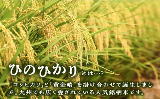 【2024年11月以降順次発送】【令和6年産新米】糸島産 ひのひかり 10kg 糸島市 / 三島商店 [AIM004]