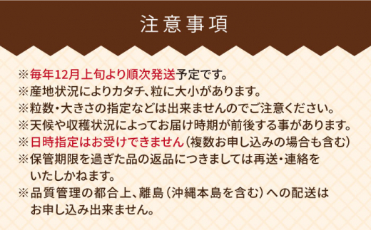 【先行予約】糸島産 あまおう ギフト 箱 ( 12-15粒 ) 【2024年12月上旬以降順次発送】 《糸島》【南国フルーツ株式会社】 [AIK010]