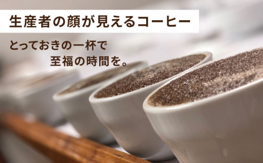 【全12回定期便】コーヒー ドリップ バッグ 40個 セット ( 8種類 × 5個 ) 糸島市 / COFFEE UNIDOS [AQF020]