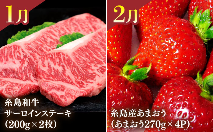 【全12回】【限定30セット】伊都菜彩 プレミアム 定期便 (2人前) 糸島の山の幸、海の幸が詰まったバイヤーオススメの年間定期便 糸島市 / JA糸島産直市場 伊都菜彩 [AED011]
