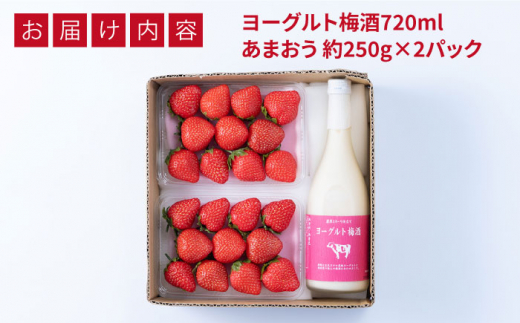 【先行予約】【春】ヨーグルト梅酒720ml ×あまおう 約250g×2パック  【2025年2月上旬以降順次発送】 糸島市 / 南国フルーツ株式会社 [AIK013]