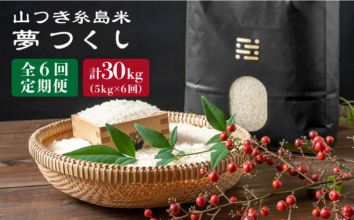 【全6回定期便】 糸島 で 農薬 を使わずに育てた 山つき 糸島米 5kg （ 夢つくし ） 糸島市 / 株式会社やました [ARJ012]