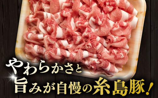 糸島豚 ロース 切り落とし 1kg 糸島市 / ヒサダヤフーズ 豚肉 豚 [AIA065]