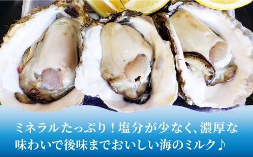 岩牡蠣3kg（10～15個）≪糸島市≫ 糸島市 / ケンちゃんカキ牡蠣/カキ/岩牡蠣 /糸島カキ [AOI001]