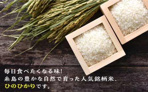 【2024年11月以降順次発送】【全3回定期便】糸島産 ひのひかり 5kg×3回 糸島市 / 三島商店 [AIM008]