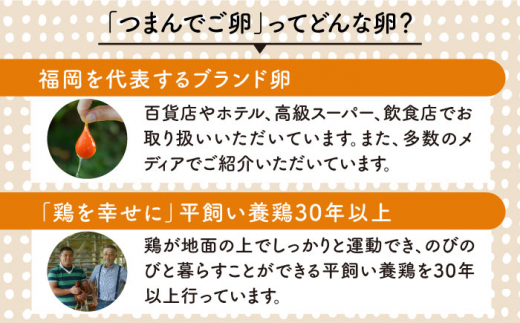 【プリップリな卵黄！】つまんでご卵 40個セット 卵 たまご 糸島 / 緑の農園 [AGA011] ランキング 上位 人気 おすすめ 生卵 鶏卵