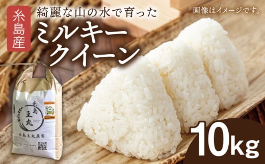 糸島産 ミルキークイーン 10kg糸島市／糸島王丸農園（ 谷口汰一 ）【いとしまごころ】 米  玄米 [AAZ018]