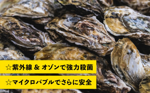 一粒牡蠣 カキ 2kg (牡蠣ナイフ付き) 糸島産 福吉 糸島市 / 伸栄丸 カキの佐々木 牡蠣 生カキ 生食用 殻付き カキ 生牡蛎 生食可 [ATH001]