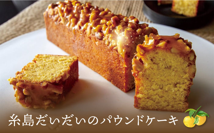 ベリーのトルテとパウンドケーキ 2種セット 糸島市 / 五洋食品産業　ケーキ スイーツ [AQD037]