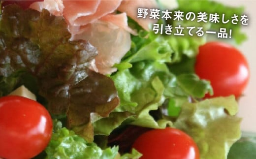 海辺 カフェ の 自家製 ドレッシング イタリアン 味 2種類 3本 セット 《糸島》【ココペリ】調味料/食卓/健康 [ALE004]