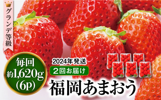 【全2回定期便】【先行予約・2025年3月初旬より順次発送】【 数量限定 】 あまおう いちご 1,620g (約 270g×6パック) 糸島市 / 株式会社HSP-テクノ グランデ 等級 福岡県産 [AZL006]