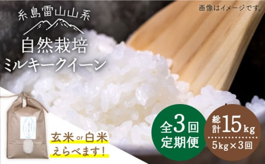 【 全3回 定期便 】糸島産 ミルキークイーン 5kg 自然栽培 《糸島》【大石ファーム】 [ATE026]