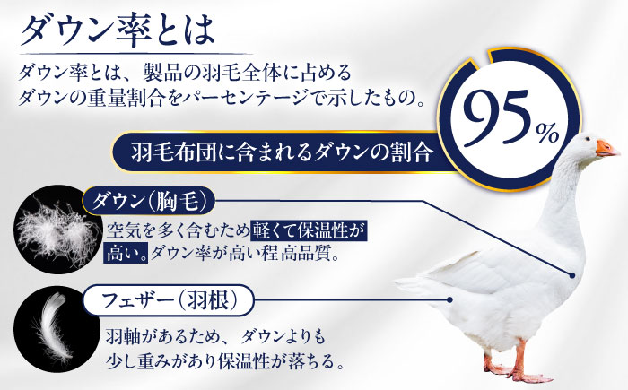 【糸島羽毛ふとん】【アイスランド特別保護鳥使用】【クイーン】 羽毛 布団 本掛け ベージュ アイダーダウン95% 糸島市 / 株式会社三樹 / 布団 羽毛 [AYM026]