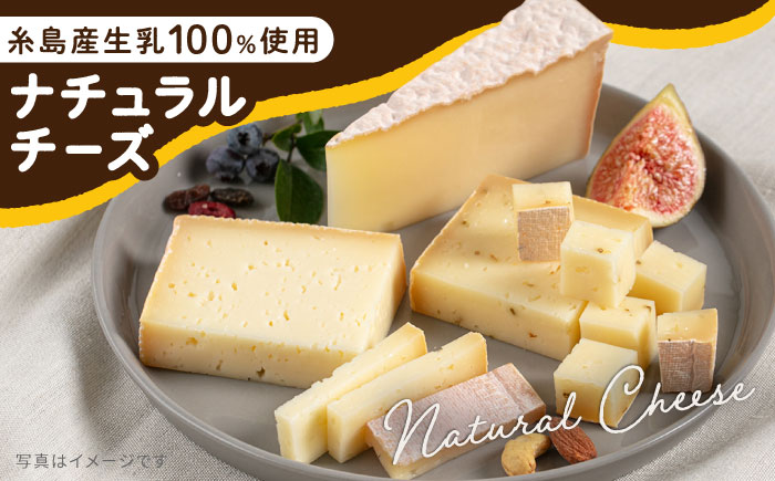 【糸島産生乳100％使用の手作りチーズ】コハク熟成 1ホール 糸島市 / 糸島ナチュラルチーズ製造所TAK-タック- [AYC011] チーズ 乳 チーズ おつまみ 乳製品 ギフト 贈答 贈り物 手づくり 生乳 プレゼント