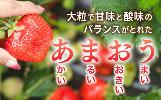 農家直送！ 糸島産 完熟あまおう 280g×4パック (S-Gサイズ) 糸島市 / 小河農園 フルーツ いちご 苺 [AJN004]