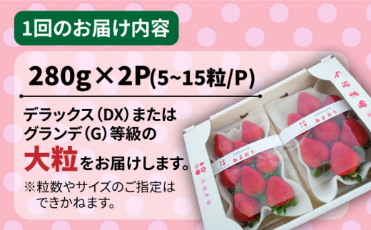 【全2回定期便】【農家直送！】糸島産 春 あまおう 280g×2パック (DXおよびGサイズ) 【先行予約受付中・2025年2月上旬より順次発送】 糸島市 / 後藤農園 いちご 福岡 [AML008]