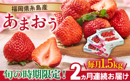 【先行予約】【全2回定期便】【2025年2月より順次発送】糸島産【春】 あまおう 6パック 毎月計1.5kg 糸島市 / 南国フルーツ株式会社 [AIK027]